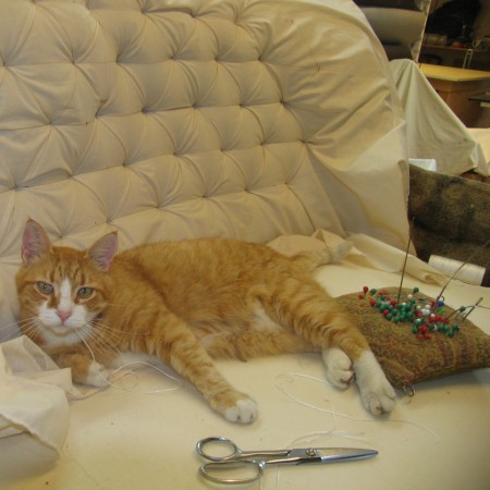 Møbelværkstedets kat